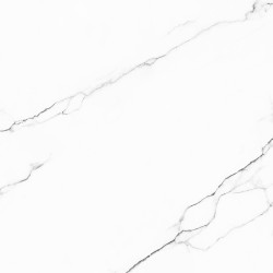 Monstera White Rf tile
